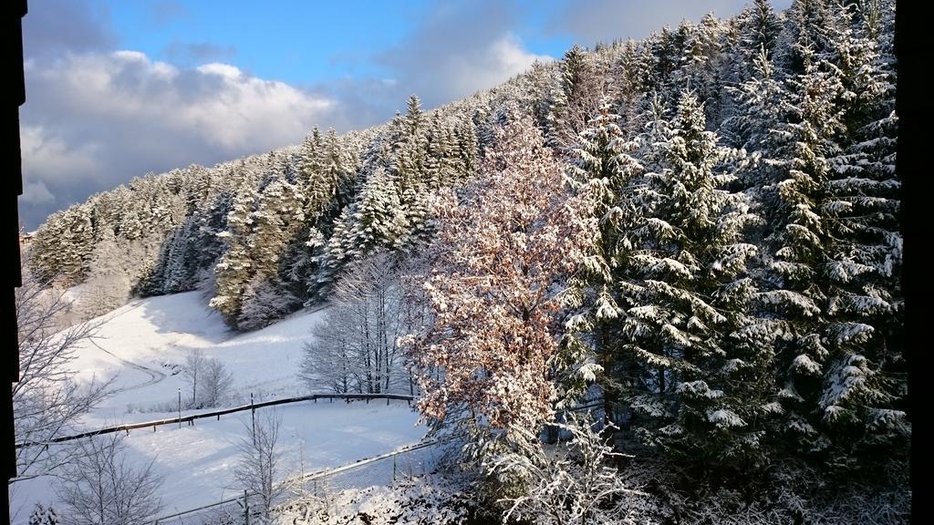Waldblick Tonbach Apartamento Baiersbronn Quarto foto