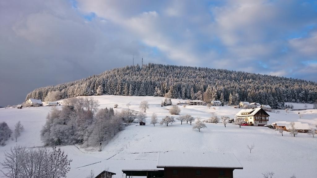 Waldblick Tonbach Apartamento Baiersbronn Exterior foto