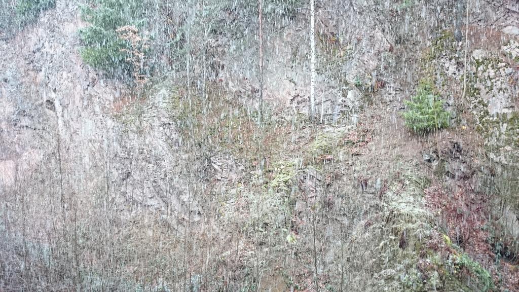 Waldblick Tonbach Apartamento Baiersbronn Quarto foto
