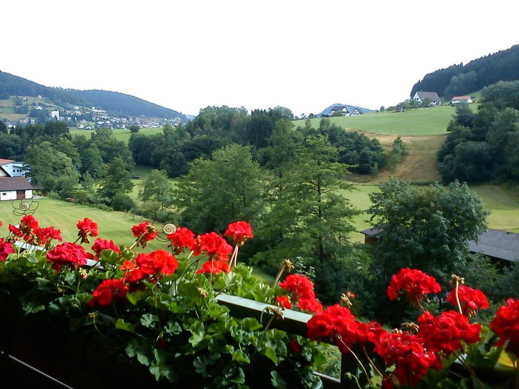 Waldblick Tonbach Apartamento Baiersbronn Quarto foto